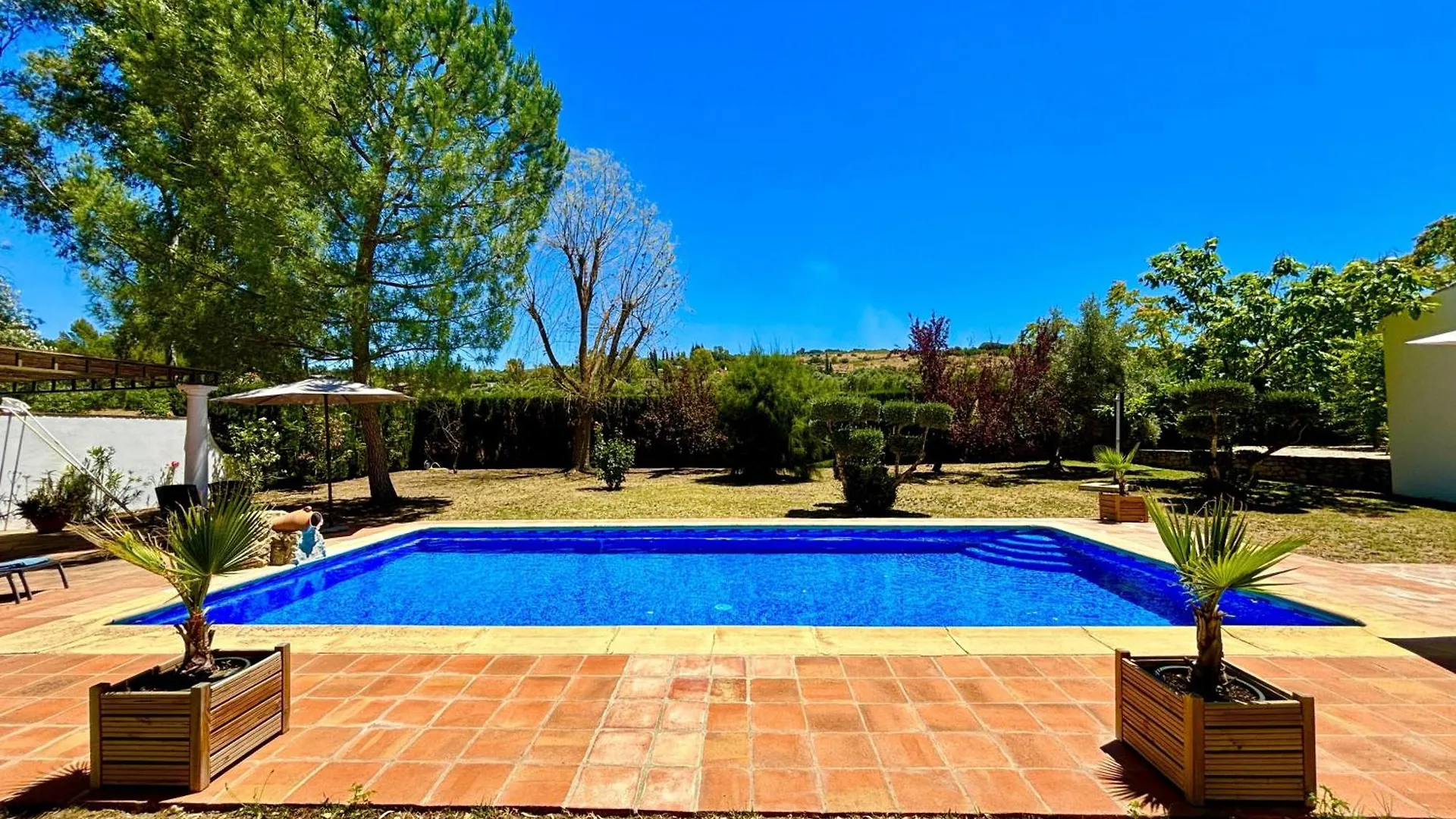 Los Olivos ロンダ スペイン