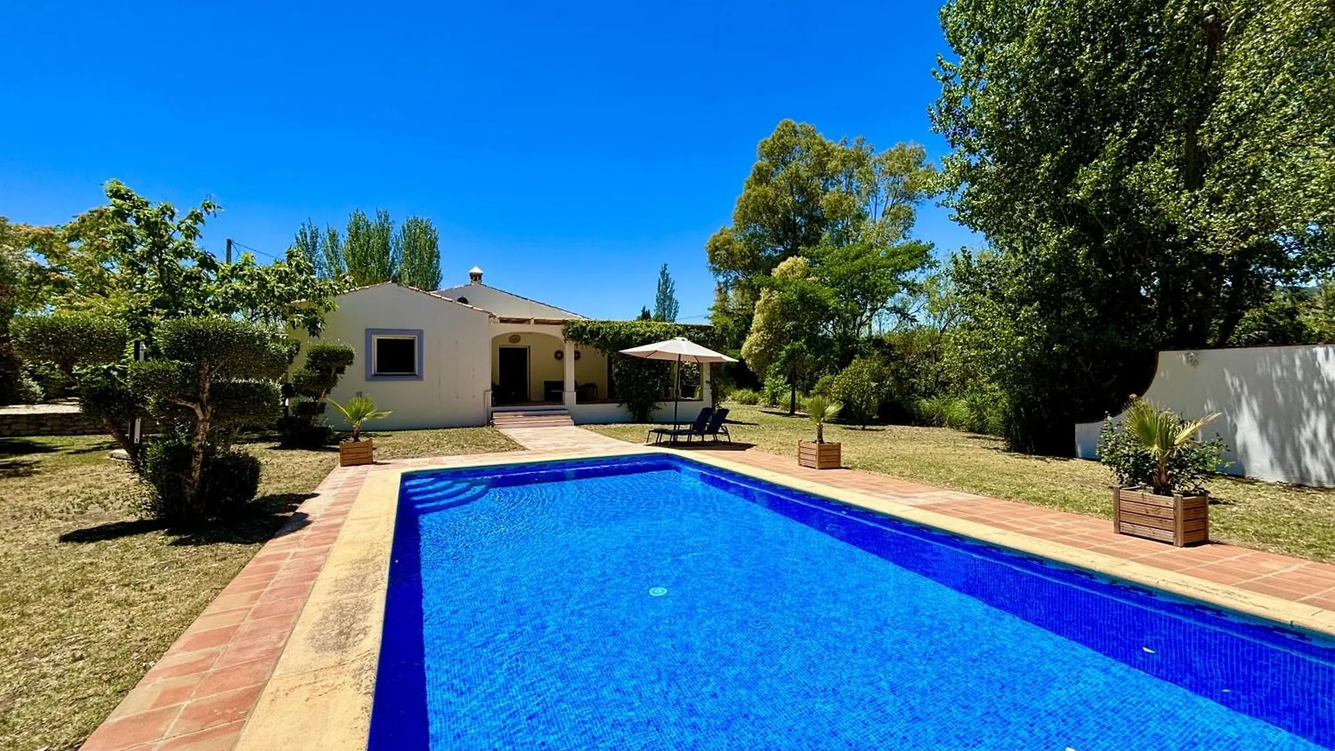 Los Olivos ロンダ